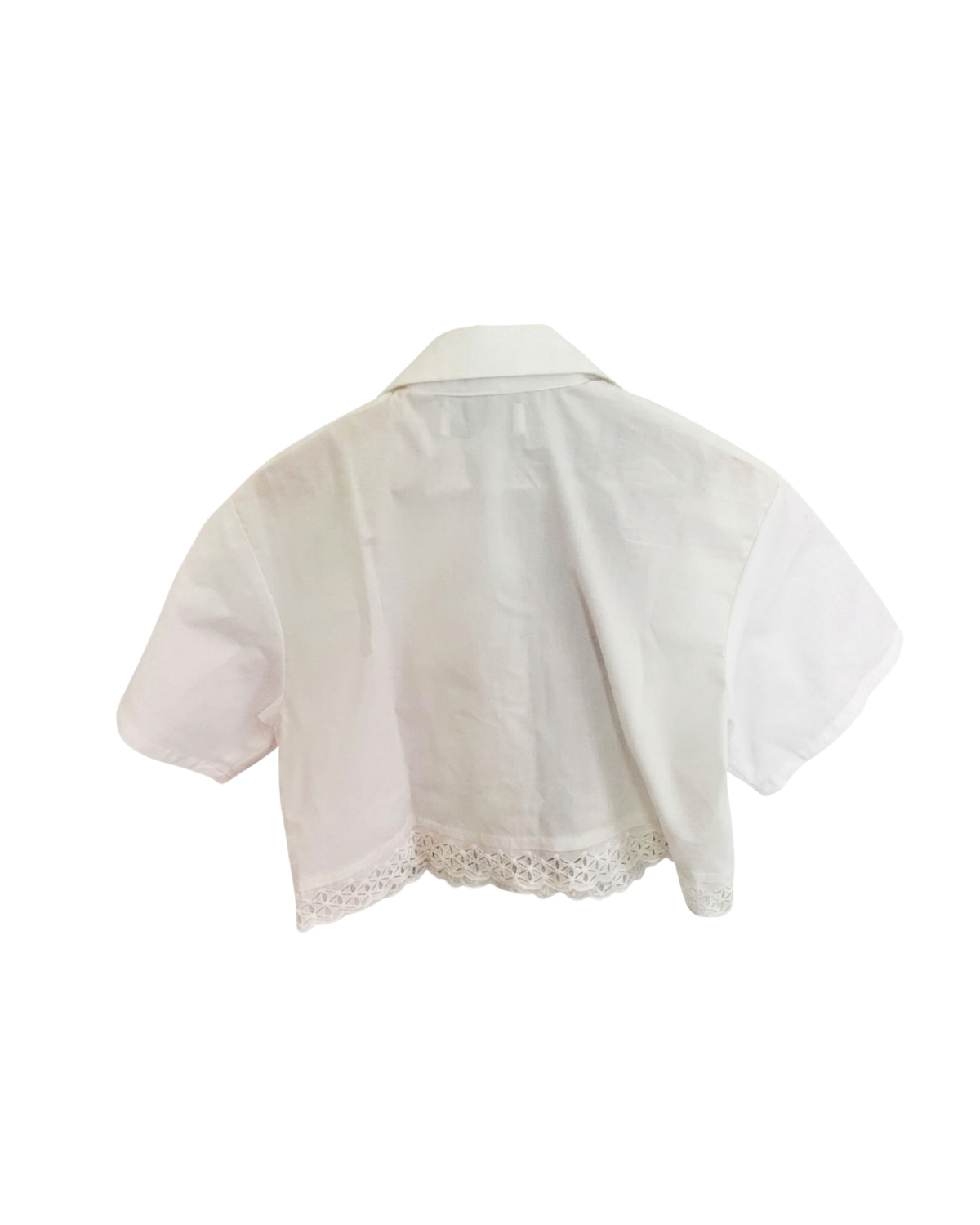 Dandelion Shirt